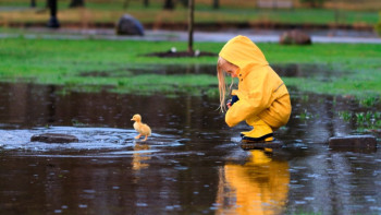 Фотография к новости: Кратковременные дожди местами пройдут на территории Казахстана 31 июля 