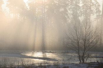 Фотография к новости: Синоптики рассказали о погоде в Казахстане 29 марта