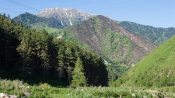 Фотография к новости: Четвёртые сутки спасатели ищут ребёнка в горах Алматинской области