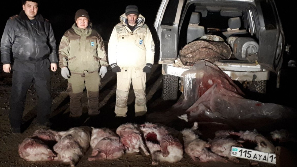  Пресс-служба Комитета лесного хозяйства и животного мира МСХ РК