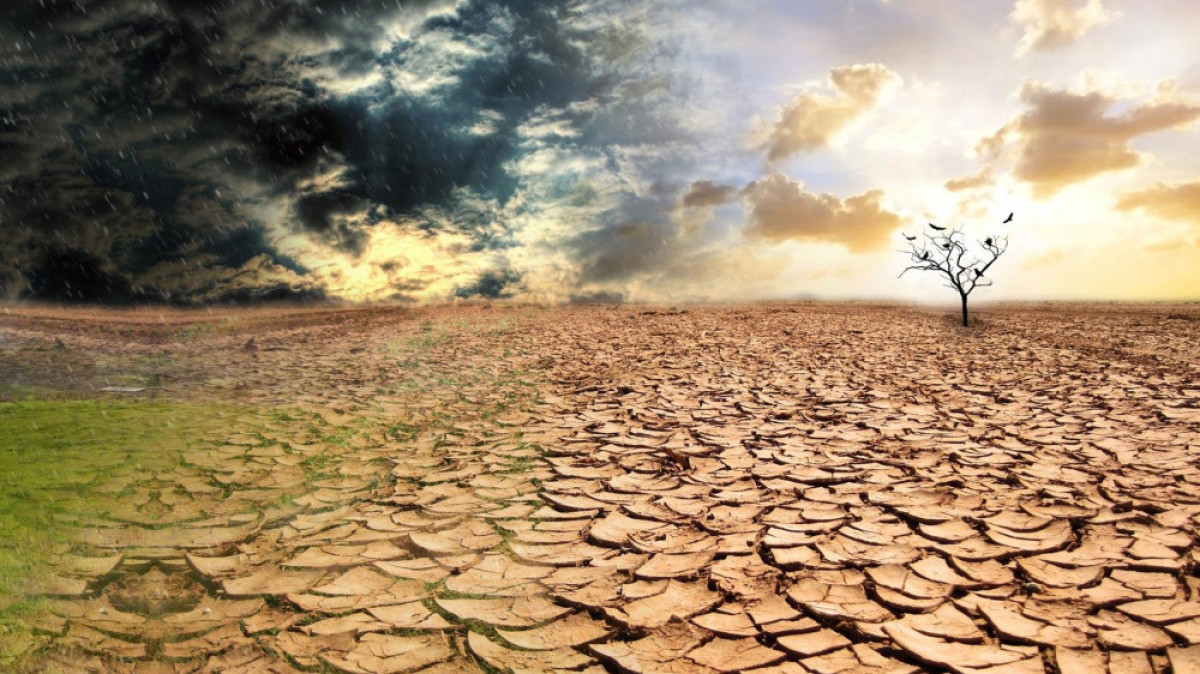  Казах-Зерно