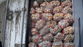 Фотография к новости: В Казахстан пытались незаконно ввезти 165 тонн подкарантинной продукции