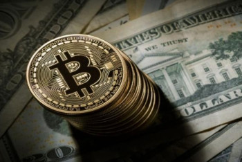 Фотография к новости: У Нацбанка жёсткая позиция в отношении рынка криптовалют – профильная ассоциация