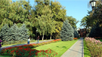 Фотография к новости: Отменить получение разрешения на санобрезку и пересадку деревьев намерены в Алматы