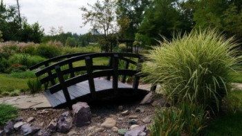 Фотография к новости: Проект реконструкции Главного ботанического сада поддержали алматинцы