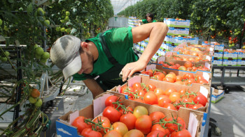 Фотография к новости: "Цеснабанк" окажет поддержку сельхозсектору 