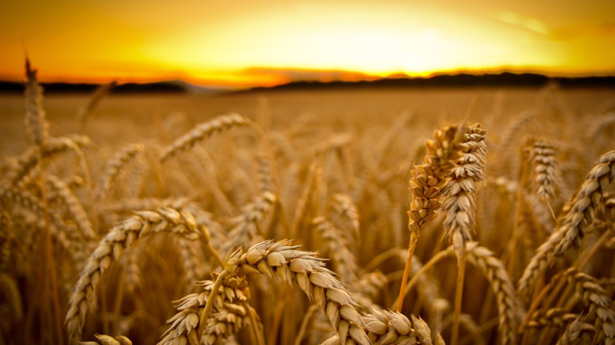  Из открытого источника 