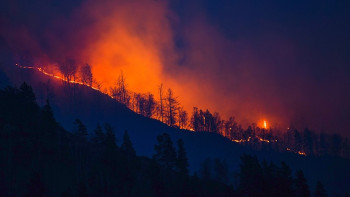 Фотография к новости: Свыше 200 человек привлекли к тушению пожара в горах Жамбылской области