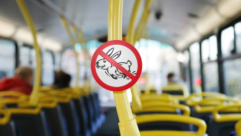 Фотография к новости: Пассажира в багажнике автобуса обнаружили акмолинские полицейские