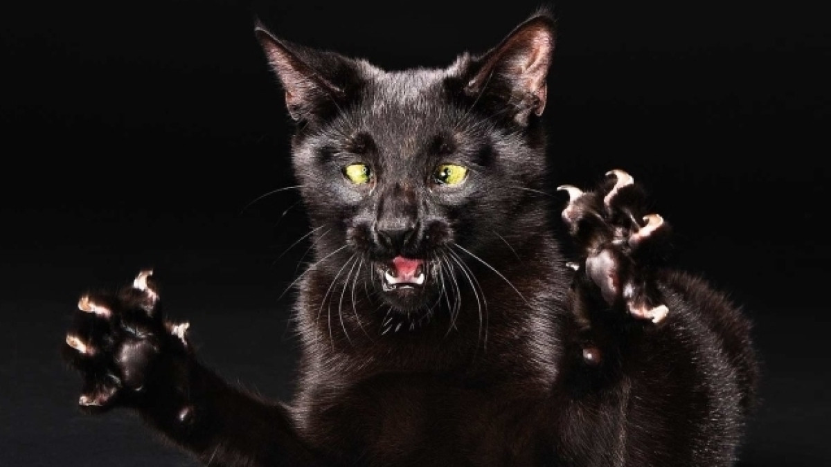  Иллюстративное фото 