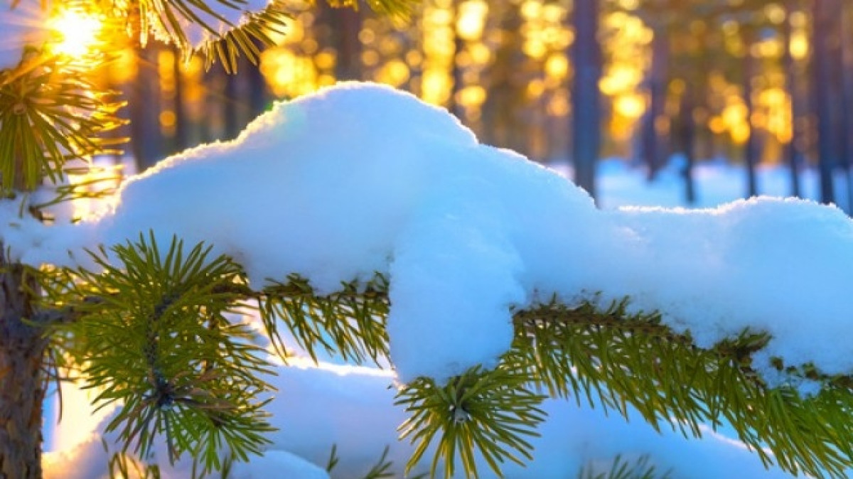  Из открытых источников 