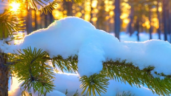 Фотография к новости: Туман, гололед и метель обещают синоптики казахстанцам 21 ноября 