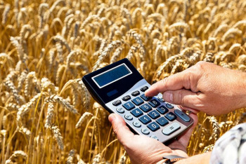 Фотография к новости: Кредитование агропрома в РК снизилось в 2 раза