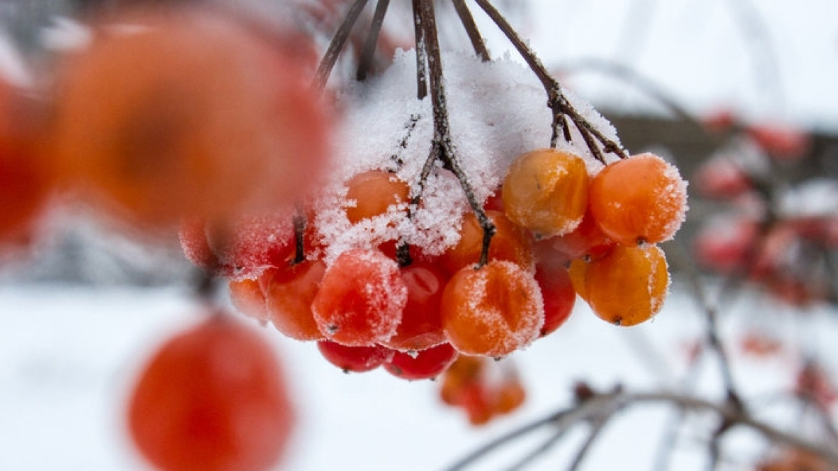  Из открытых источников