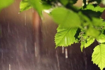 Фотография к новости: О погоде 14 июня в Казахстане сообщили синоптики