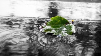 Фотография к новости: Дожди с грозами и град прогнозируют на большей части страны пятого июля 