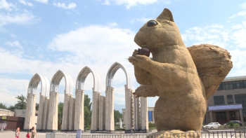 Фотография к новости: Нужна ли Астане своя белка, ответили в акимате столицы