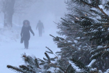 Фотография к новости: Штормовое предупреждение объявлено в двух областях Казахстана