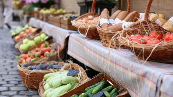 Фотография к новости: Павлодарские аграрии привезут 220 тонн картофеля на ярмарку в Астане 