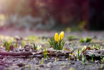 Фотография к новости: Потепление ожидается почти по всему Казахстану