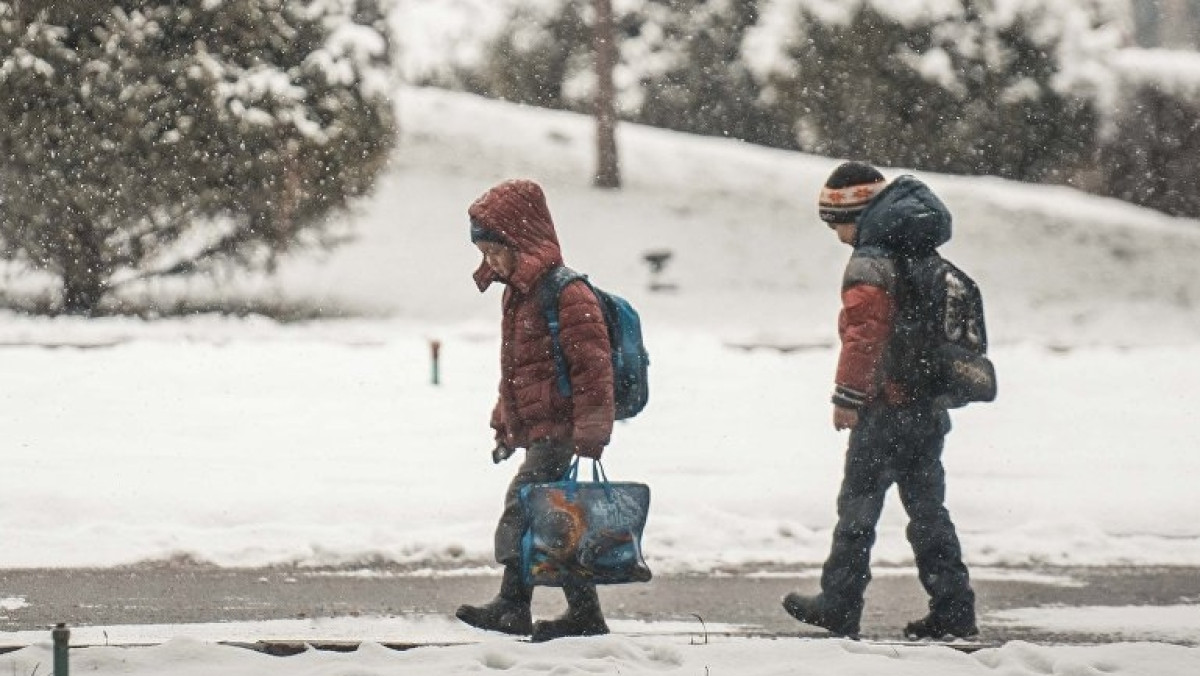  Из открытых источников