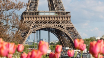 Фотография к новости: Фестиваль "Франкофонная весна" стартует в Казахстане  