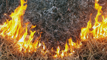Фотография к новости:  Лесник скончался во время тушения пожара в Жамбылской области 
