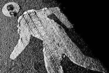 Фотография к новости: Пешехода насмерть сбили в Атбасаре: полиция завела два уголовных дела