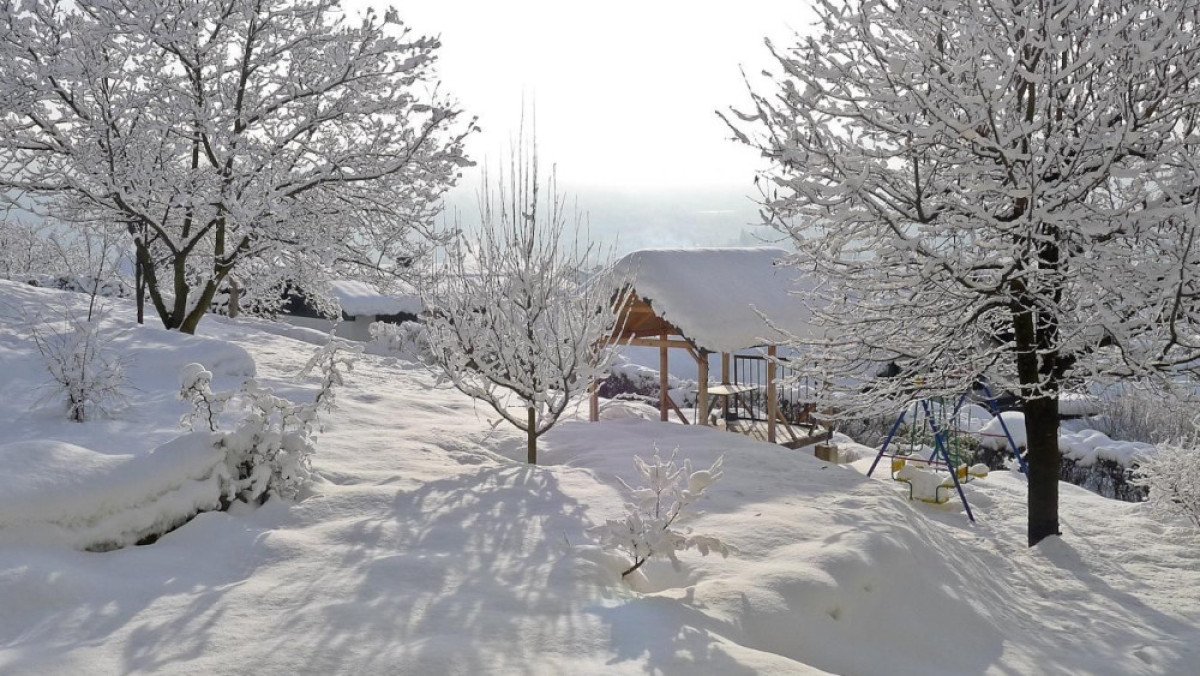  Из открытых источников