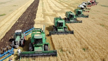 Фотография к новости: Лишь 8% результатов научно-технической деятельности внедряются в производство – Минсельхоз РК