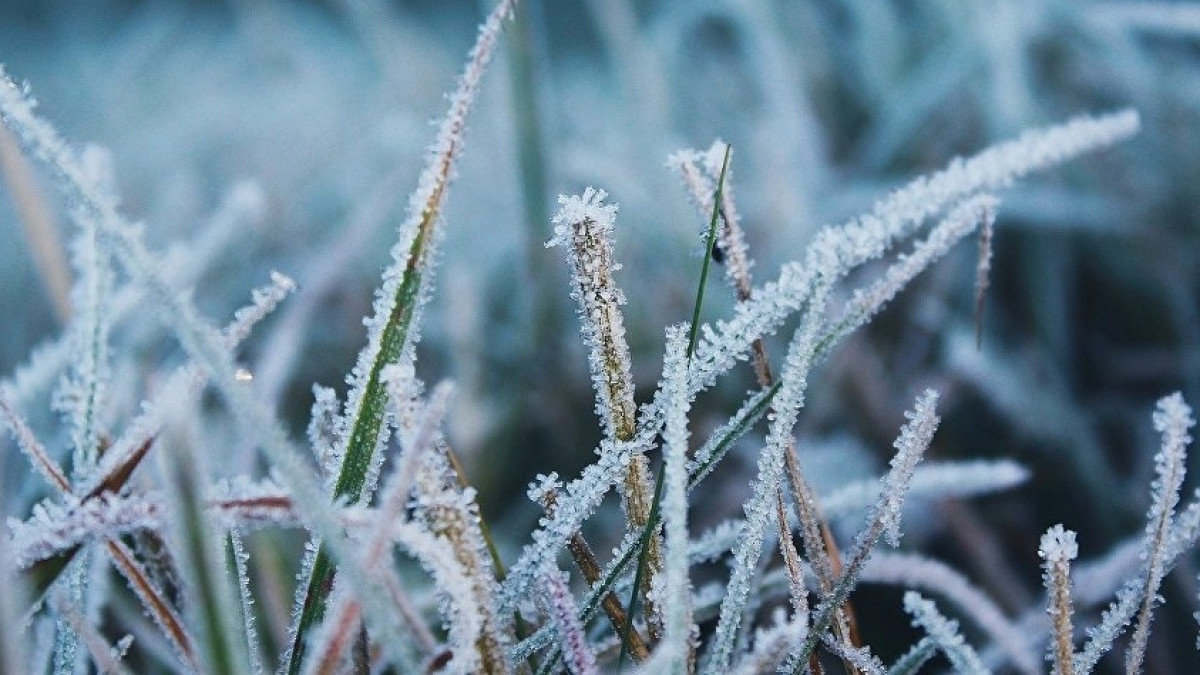  Из открытых источников 