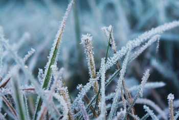Фотография к новости: Заморозки ожидаются в южных регионах в ближайшие дни – синоптики