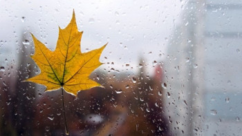 Фотография к новости: Каким будет начало осени в Казахстане, рассказали синоптики