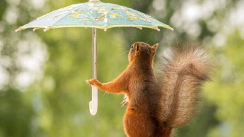 Фотография к новости: Неустойчивая погода сохраняется на территории Казахстана 16 июля 