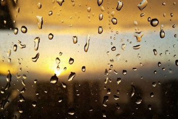 Фотография к новости: Погоду без осадков на юге и дожди на севере обещают синоптики 4 мая