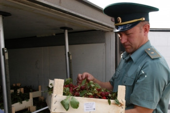 Фотография к новости: Сто тонн опасной продукции Россия вернула Казахстану 