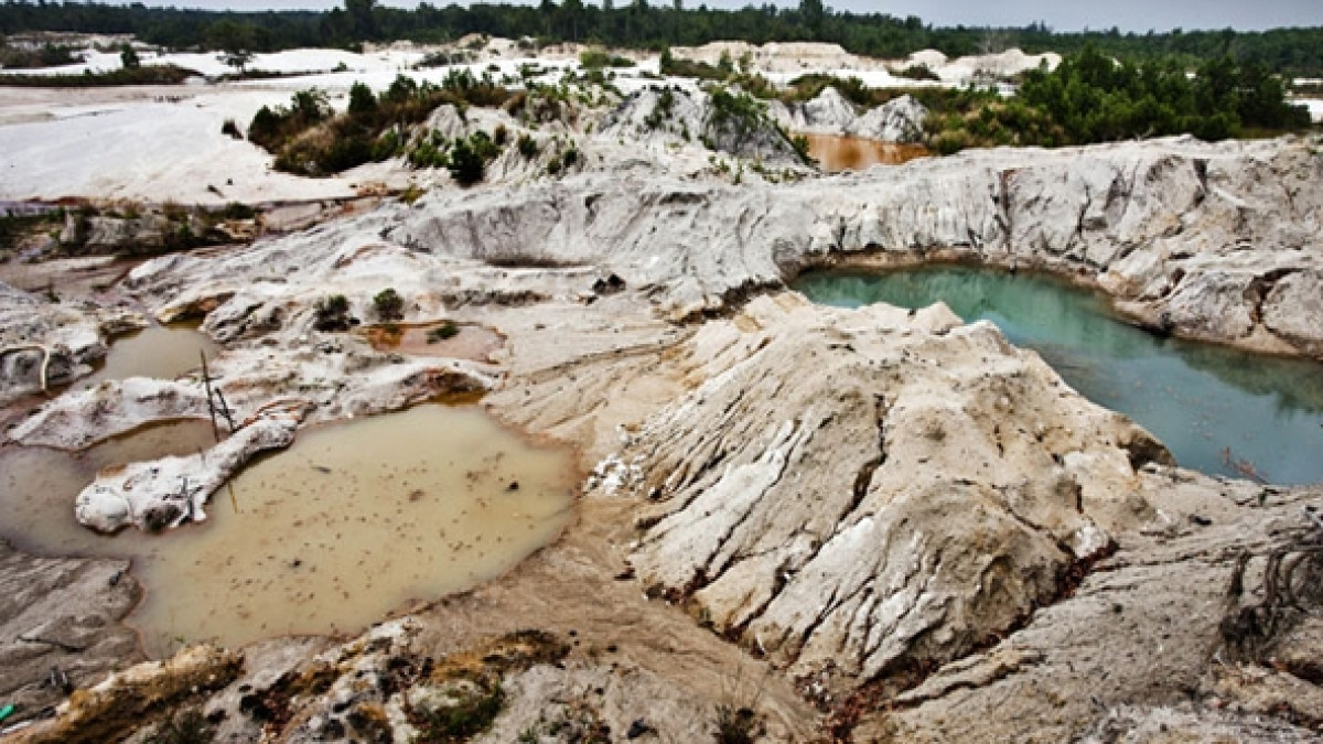  Наш регион — Дальний Восток