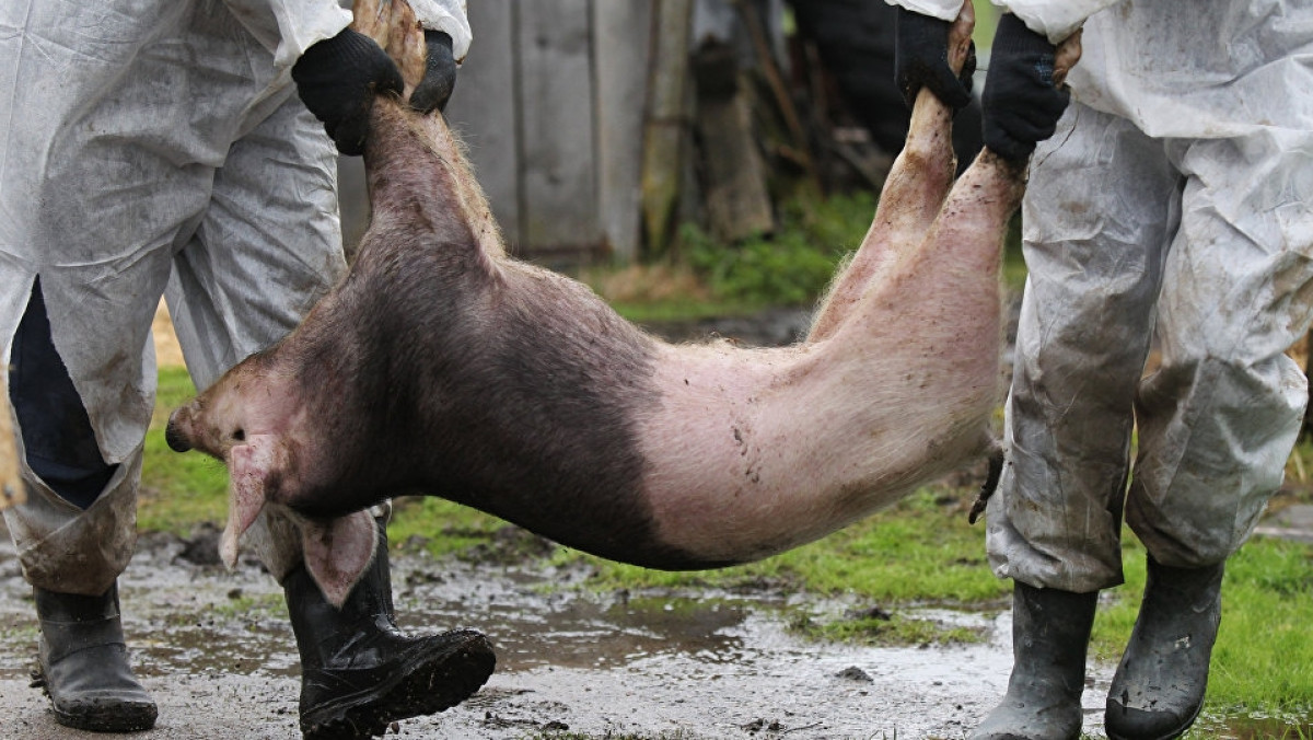  Иллюстративное 