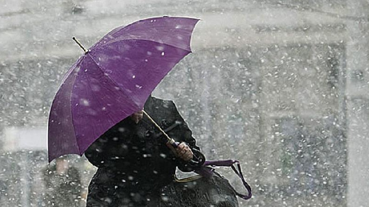  Из открытых источников 