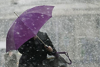 Фотография к новости: Снег и дождь обещают казахстанцам синоптики на этих выходных 