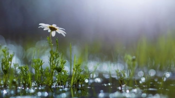 Фотография к новости: Тёплые дожди пройдут в выходные на большей части Казахстана