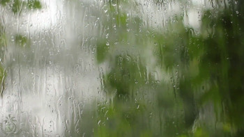 Фотография к новости: Дожди с грозами ожидаются на севере и юге Казахстана