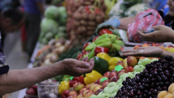 Фотография к новости: Свыше 400 тонн продуктов привезут в Астану фермеры Туркестанской области 