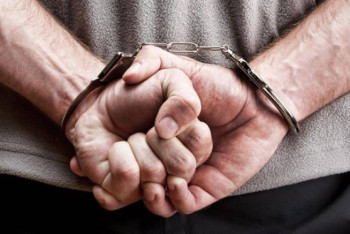 Фотография к новости: Казахстан ратифицировал договор с Вьетнамом о выдаче