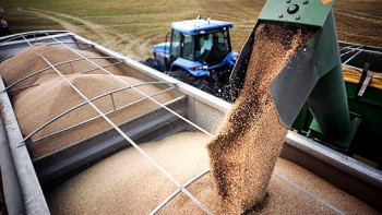 Фотография к новости: Казахстан экспортировал около 430 тысяч тонн зерна в 2018 году