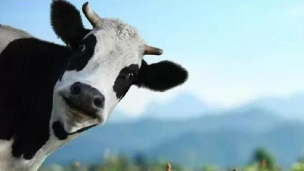  Из открытых источников 