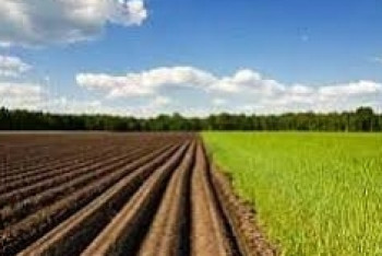 Фотография к новости: Космический мониторинг позволит повысить эффективность сельхозземель в Акмолинской области