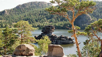 Фотография к новости: Велосипедист из столицы погиб в Бурабае