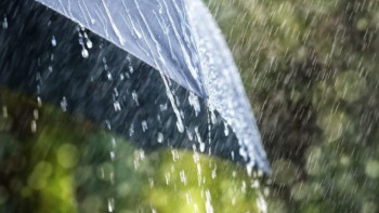 Фотография к новости: Дожди пройдут на большей части территории страны 11 августа 