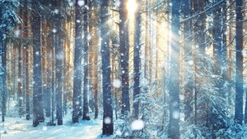 Фотография к новости: Синоптики рассказали о погоде в Казахстане на 8 января 